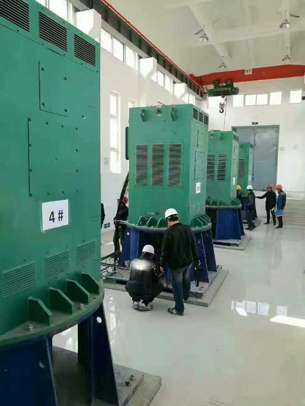 YKK4504-8/315KW某污水处理厂使用我厂的立式高压电机安装现场